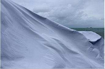 Photography Fallon Johnson