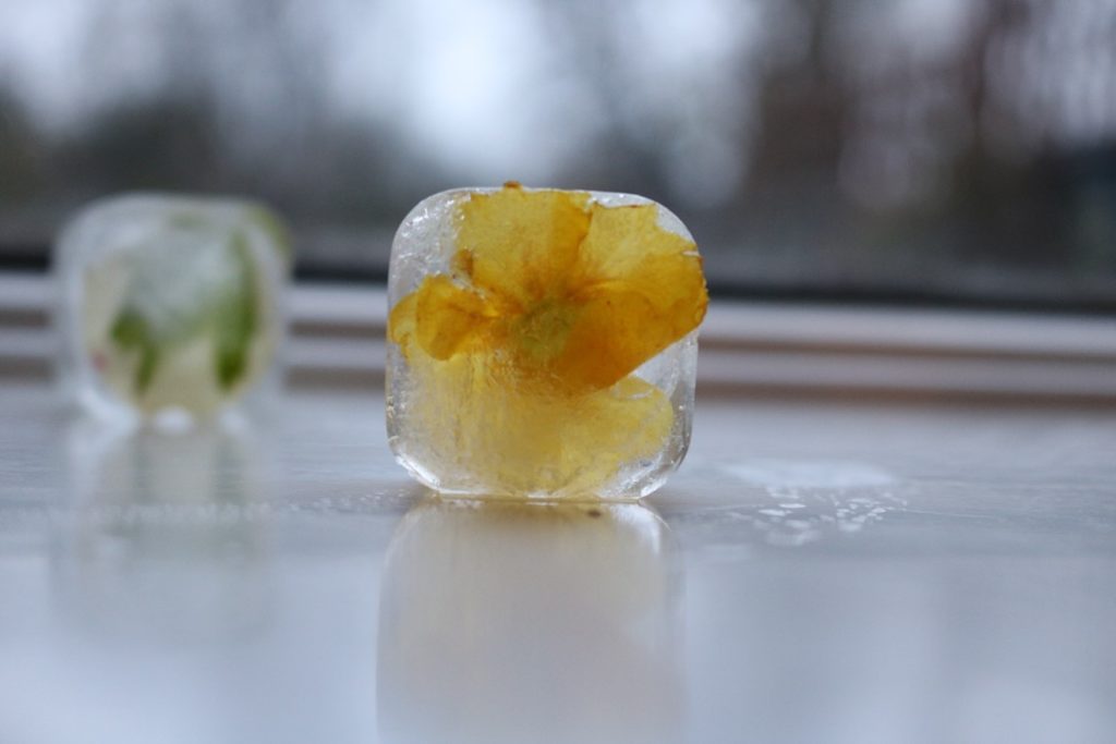 Photography Ellie Newman