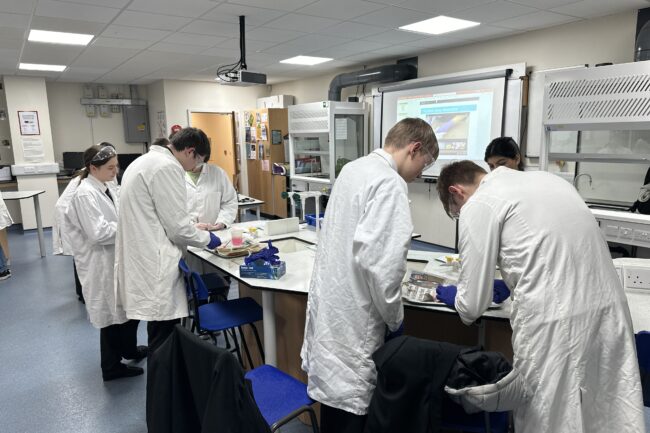 The students experiments