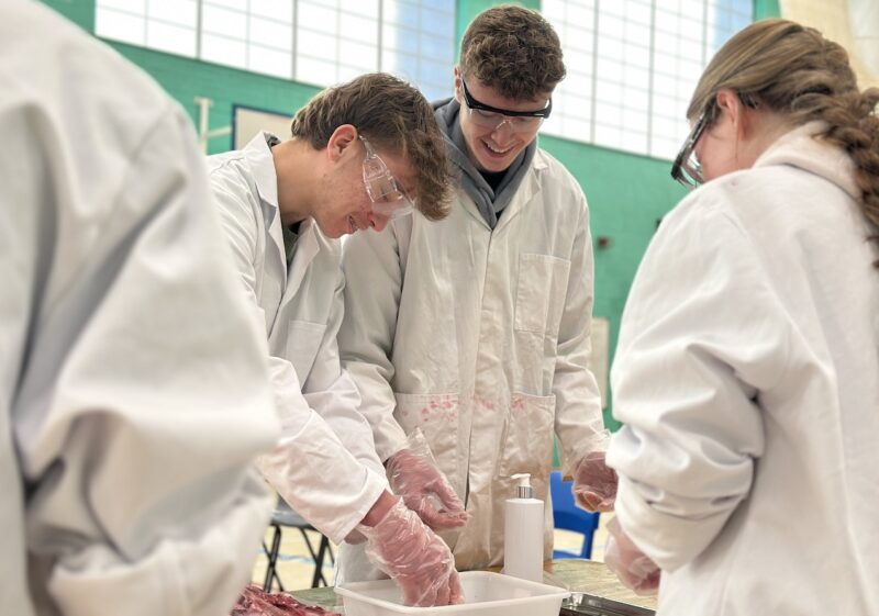 students taking part in Operating Theatre Live, held in the College’s Sports Centre