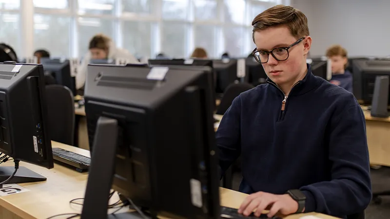 Apprenticeships and employment banner