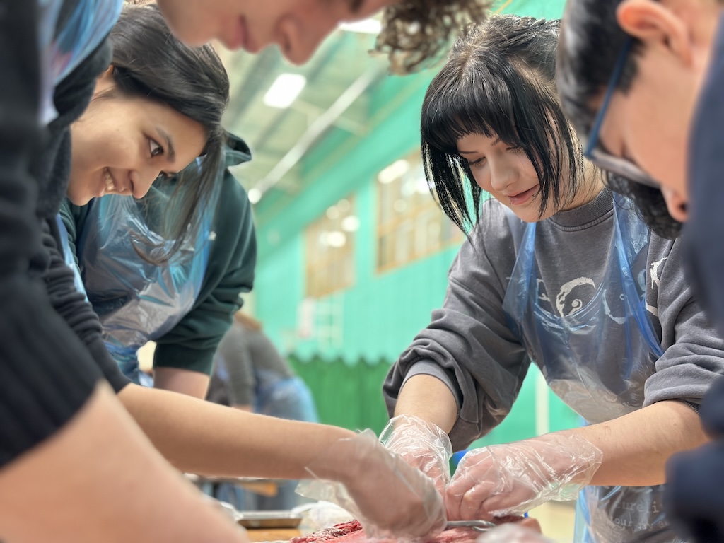 Students wearing plastic aprons and gloves, getting hands-on experience of dissection