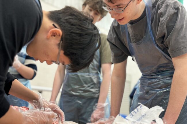 Students wearing plastic aprons and gloves, getting hands-on experience of dissection