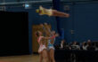 Millie spinning in the air